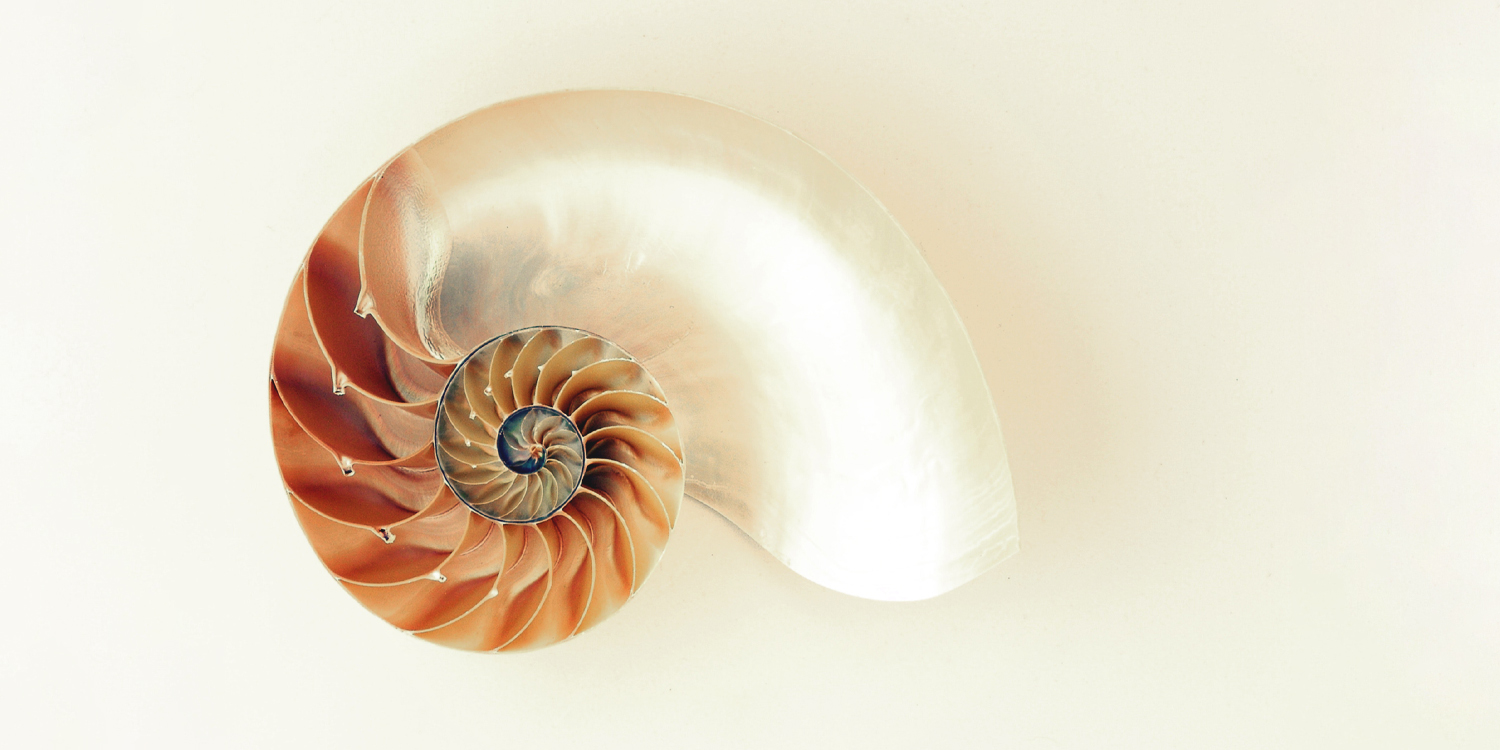 Design, Methodologie