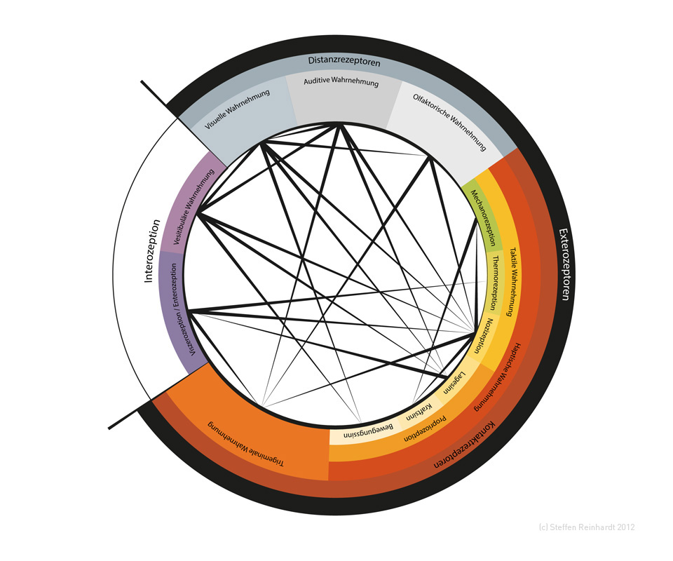 “Rezeptoren-der-Sinne-des-Menschen,Infografik“